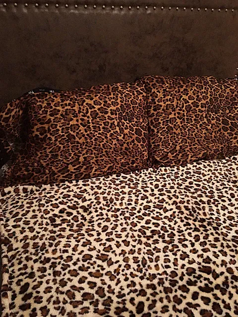 Leopard pillowcases